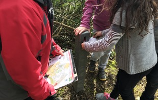 Parcours d'orientation - Bagnoles de l'Orne Normandie