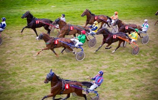 Hippodrome - Bagnoles-de-l'Orne