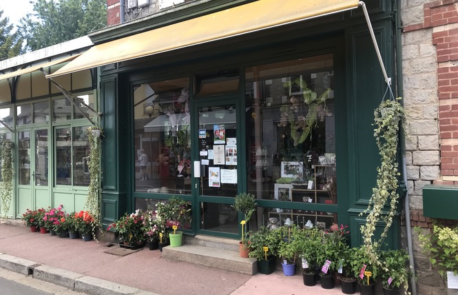 Elisa Fleurs 1 - Bagnoles-de-l'Orne