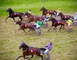 Hippodrome 1 - Bagnoles-de-l'Orne